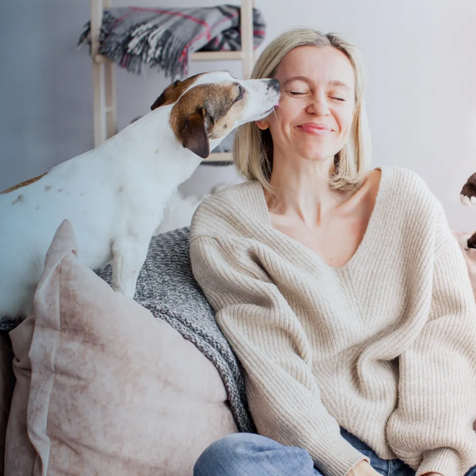 Dog and Owner