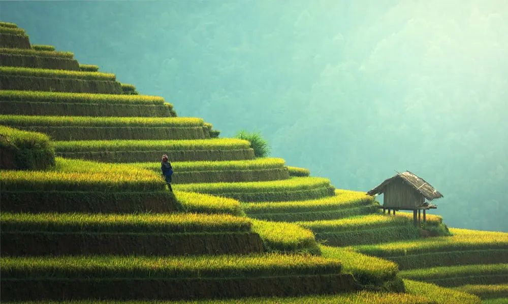 Top Places To Visit In Spring Top Places To Visit In Spring