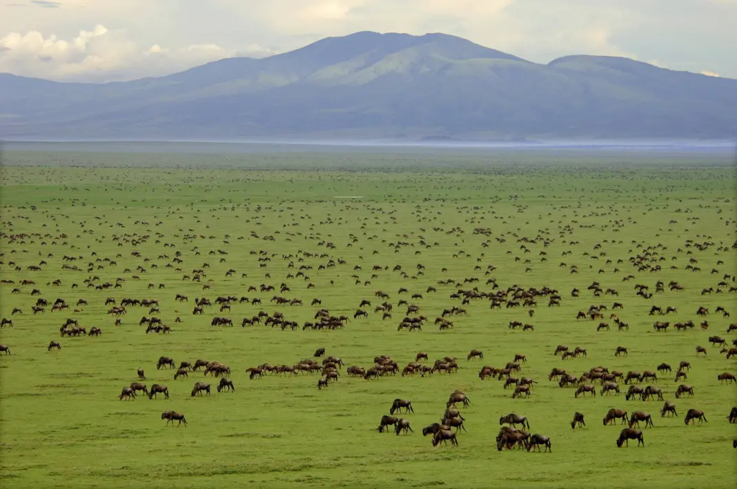 Tanzania Uses AFCON 2025 to Prepare for 2027 Co-Hosting and Accelerate Tourism Growth Tanzania Uses AFCON 2025 to Prepare for 2027 Co-Hosting and Accelerate Tourism Growth