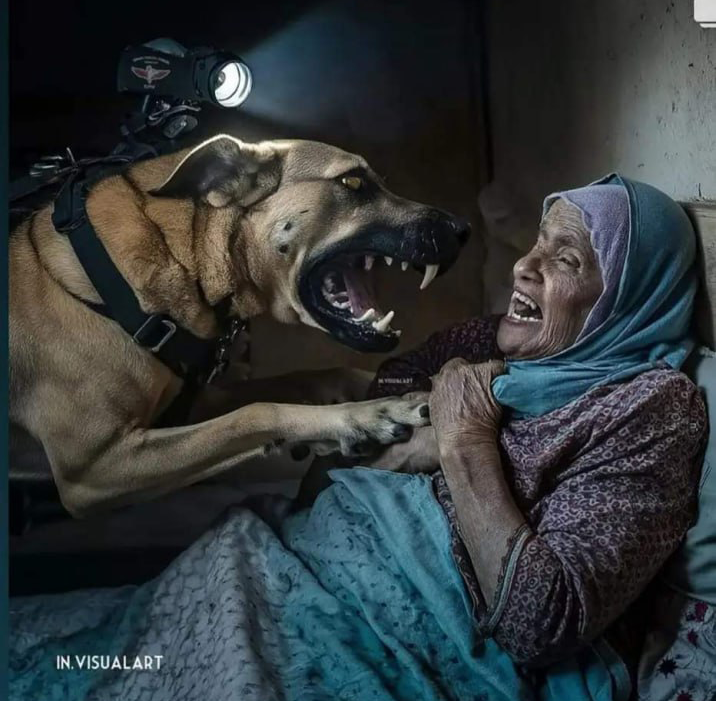 “Torture and Sexual Violence with Dogs”: New Report Alleges Inhuman Abuse in Depraved Israeli Detention Centres “Torture and Sexual Violence with Dogs”: New Report Alleges Inhuman Abuse in Depraved Israeli Detention Centres