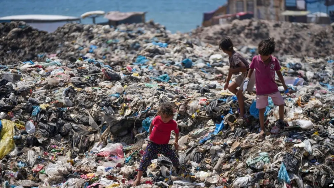 Israel Is Poisoning the Sea and Land It Depends On by Destroying Gaza